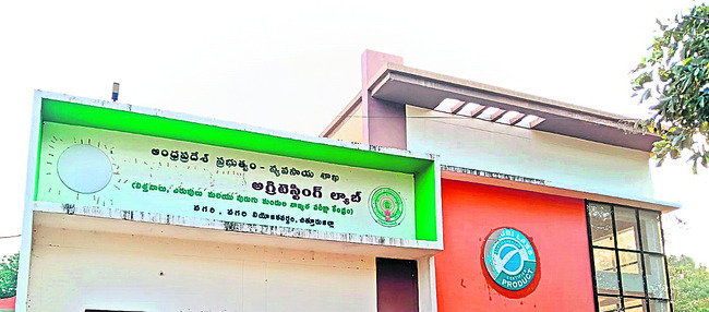 పెళ్లి చేసుకోమన్నందుకే హత్య! 
2