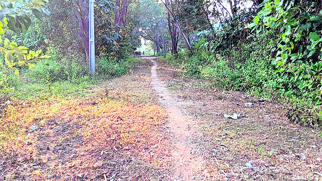 పెళ్లి చేసుకోమన్నందుకే హత్య! 
5