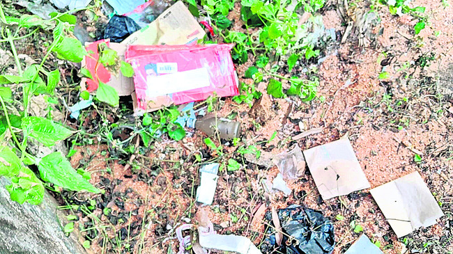 పెళ్లి చేసుకోమన్నందుకే హత్య! 
6