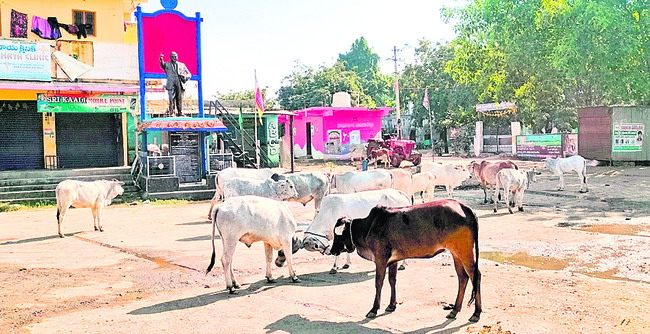 కుమురం భీం3