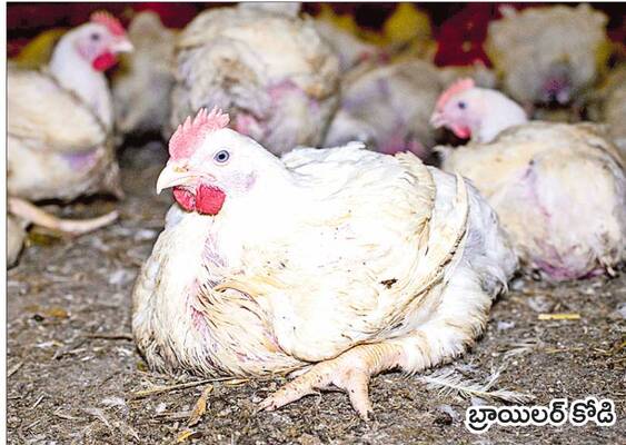 శనివారం శ్రీ 10 శ్రీ జనవరి శ్రీ 20261