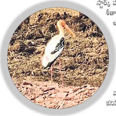 అతిథులు వచ్చారు ! 1