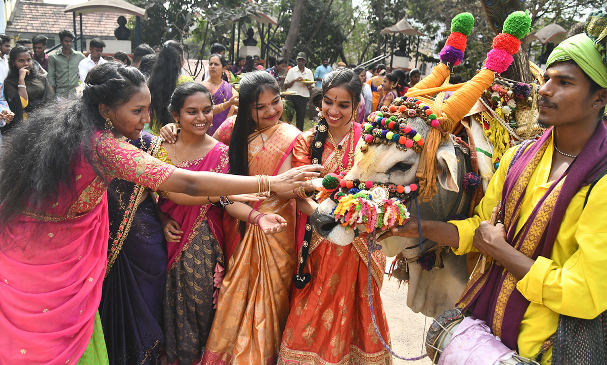 Sankranthi Celebrations At AU Engineering College Grounds13