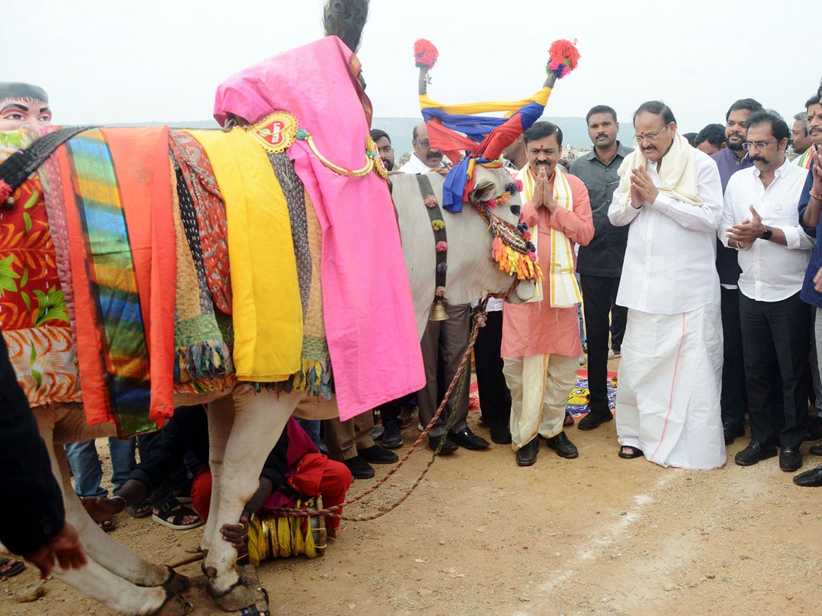 Sankranthi Celebrations At AU Engineering College Grounds16