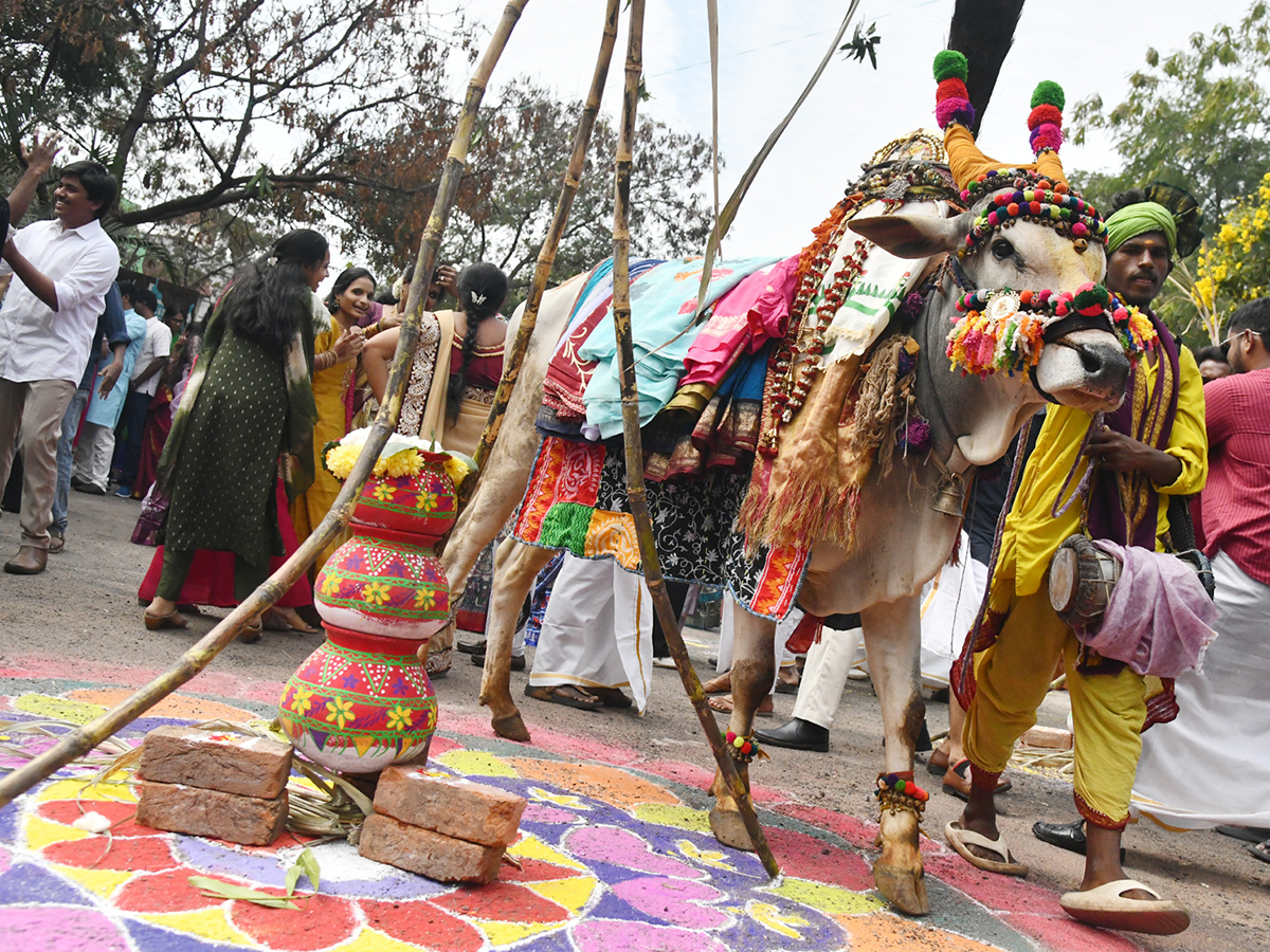 Sankranthi Celebrations At AU Engineering College Grounds2