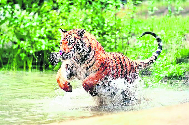 గణనకు సిద్ధం2
