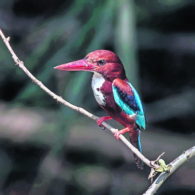 కొత్త.. కిలకిలలు2