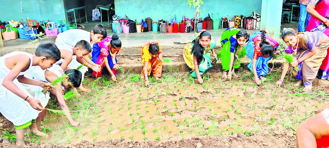 నాటువేసి.. ధాన్యం తూర్పారపట్టి..1