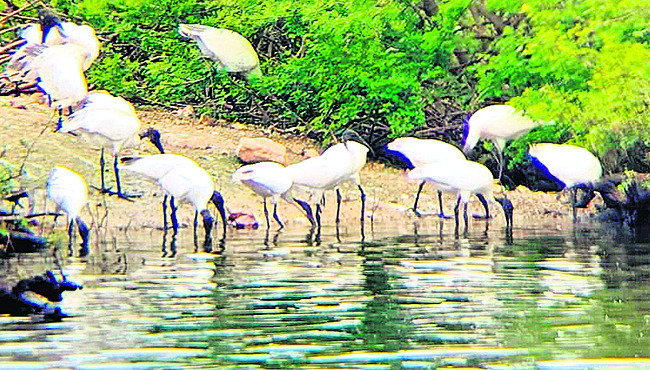 పేలవంగా ప్రారంభోత్సవం1