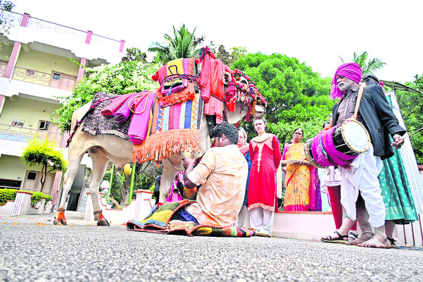 బాలవికాసలో సంక్రాంతి సందడి1