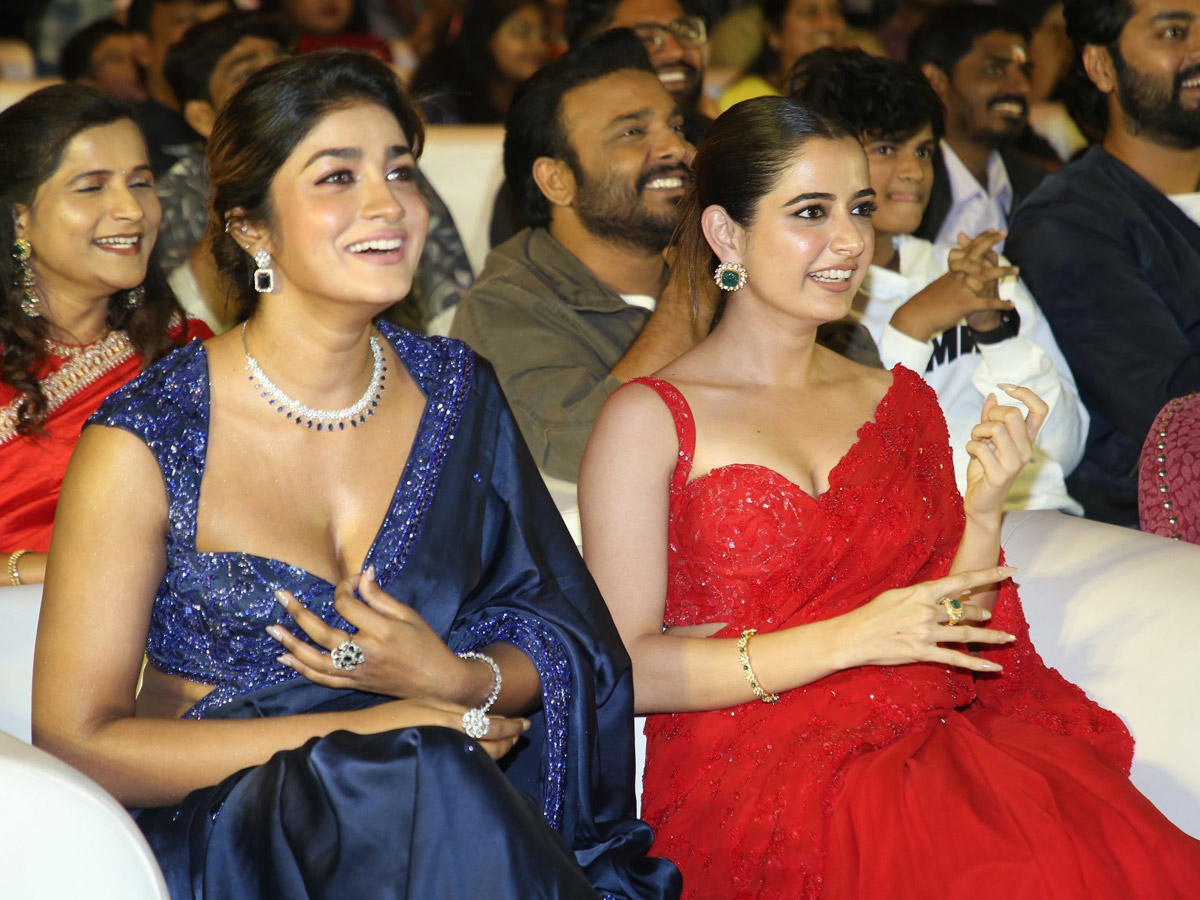 Bhartha Mahasayulaku Wignyapthi Pre Release Event Photos27