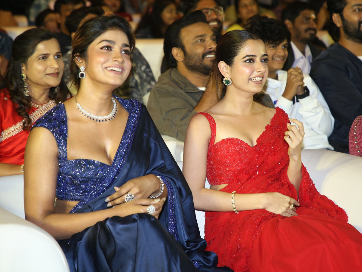 Bhartha Mahasayulaku Wignyapthi Pre Release Event Photos28