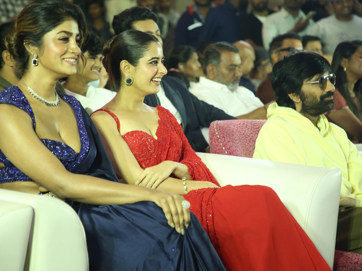 Bhartha Mahasayulaku Wignyapthi Pre Release Event Photos8