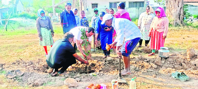 4.30 ఎకరాలు.. 2,732 మొక్కలు
1
