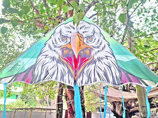 క్రేజీ కై ట్స్‌5