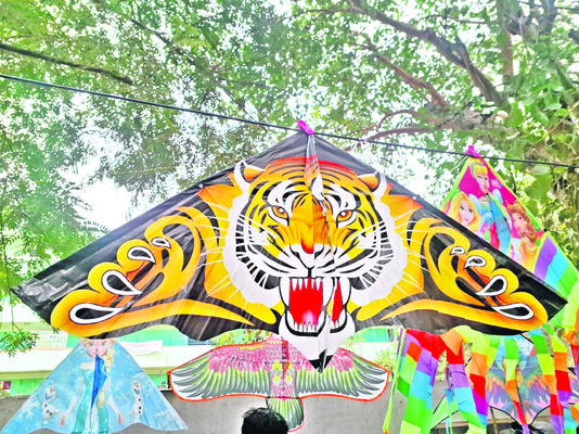 క్రేజీ కై ట్స్‌8