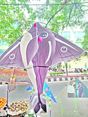 క్రేజీ కై ట్స్‌6