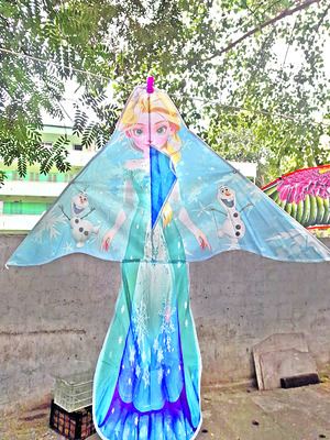 క్రేజీ కై ట్స్‌9