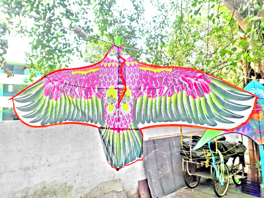 క్రేజీ కై ట్స్‌2