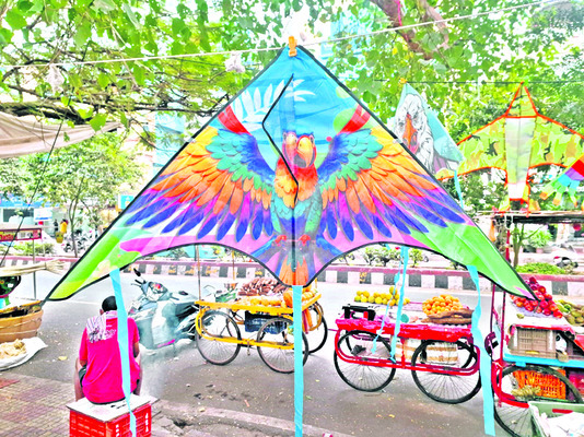 క్రేజీ కై ట్స్‌4