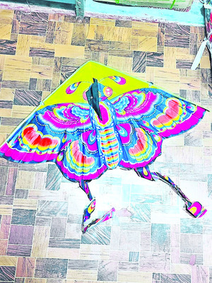 క్రేజీ కై ట్స్‌3