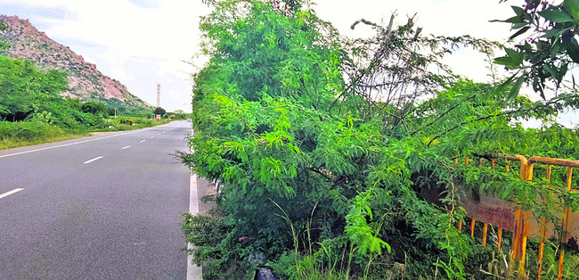 ప్రయాణం.. ప్రాణ సంకటం 1