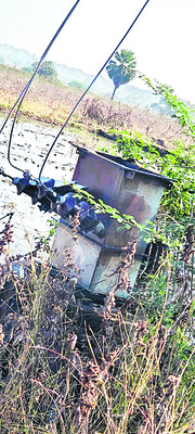 బగలాముఖిని దర్శించుకున్న ప్రముఖులు 2