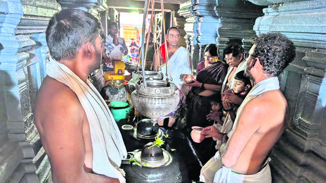 మున్సిపాలిటీ ఎన్నికల్లో సత్తాచాటాలి1