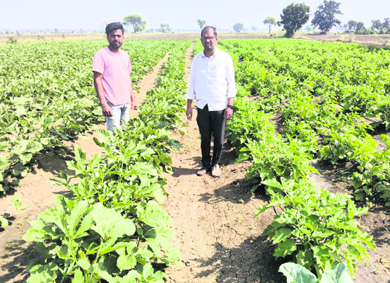 నిర్మల్‌1