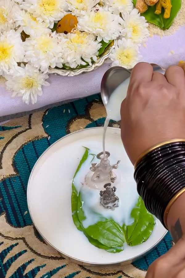 Housewarming of TV Actors Indraneel and Meghana Photos18