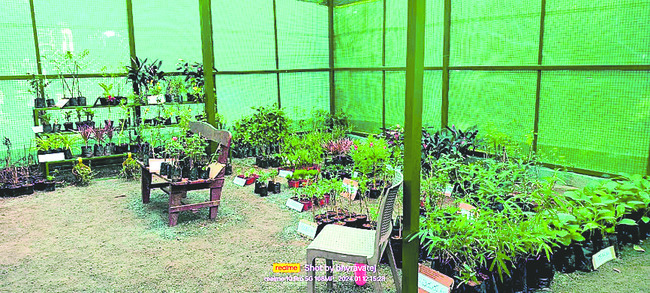 షికారుకు పోదాం.. చలో చలో 2