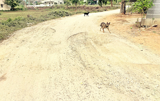 దుస్థితికి చేరిన గ్రామీణ రోడ్లు 
1