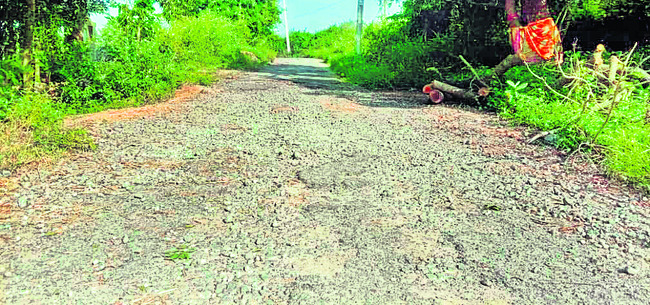 గ్రామీణ రోడ్లు... నరకానికి నకళ్లు 
6