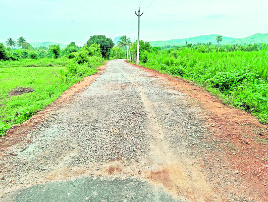 గ్రామీణ రోడ్లు... నరకానికి నకళ్లు 
3
