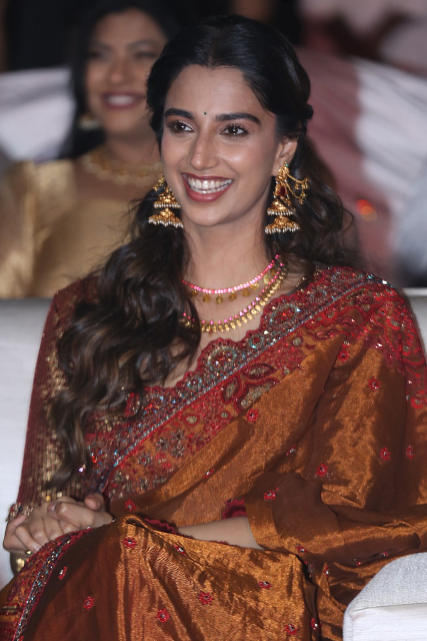 Anaganaga Oka Raju Pre Release Event Photos41