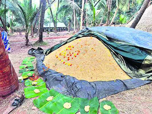 పుడమి తల్లికి ప్రేమతో.. 1