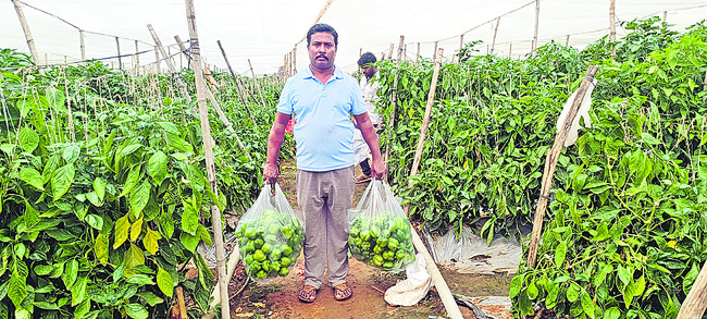 సమ్‌థింగ్‌ స్పెషల్‌2