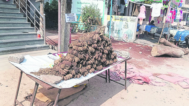 పల్లెల్లో పండగ ఛాయలు1