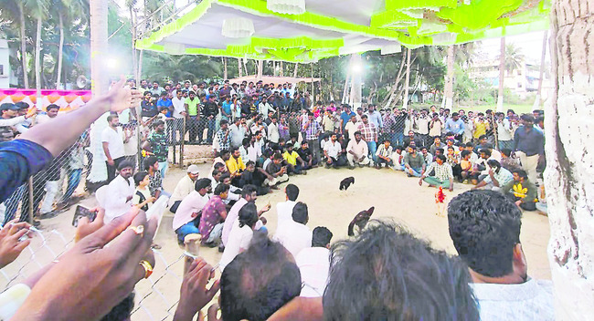 పోలీసుల రాకతో పందెం రాయుళ్ల పరారీ1