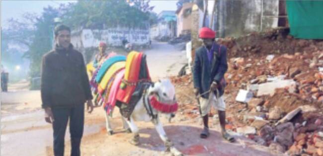 ● మొదలైన సంక్రాంతి సందడి ● నేడు భోగి వేడుకలు ● స్వగ్రామ1