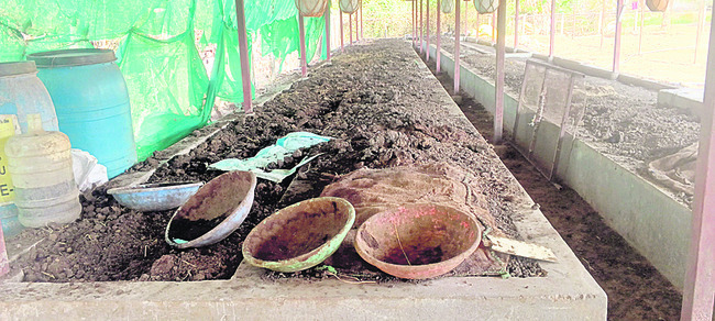 పండుగలా సాగు2