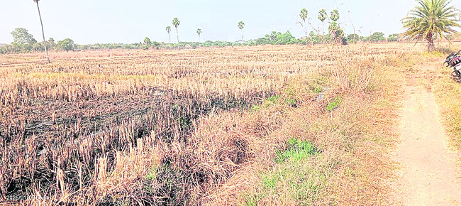 నీరు రాదు.. పంట పండదు1