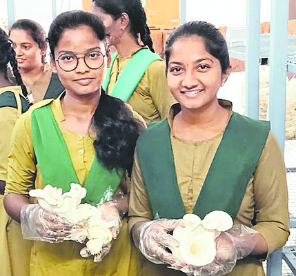 పుట్టగొడుగు.. పోషకాలు మెండు1