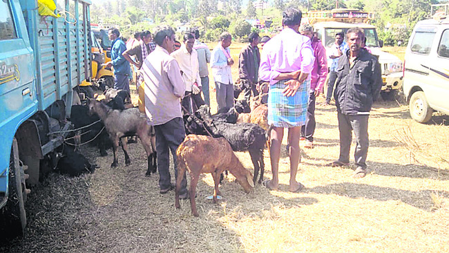 తారుమారు...జన హోరు2