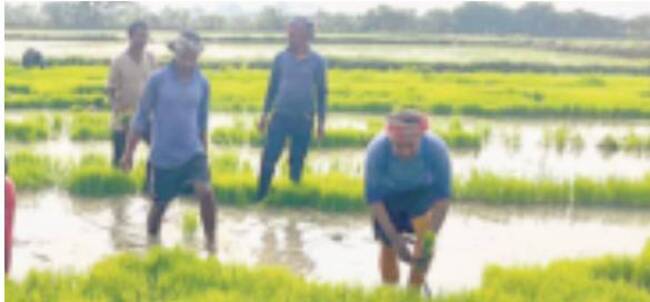 కుమురం భీం2