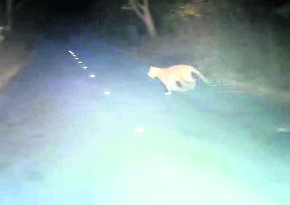 ‘పట్టణాన్ని ఆదర్శవంతంగా తీర్చిదిద్దుతాం’
2