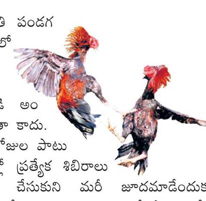 అన్నింటా సంక్రాంతి.. 2