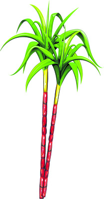 సరదాల సంక్రాంతి 1