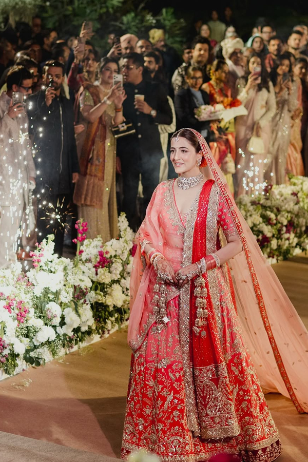 Nupur Sanon And Stebin Ben Hindu Wedding Photos5