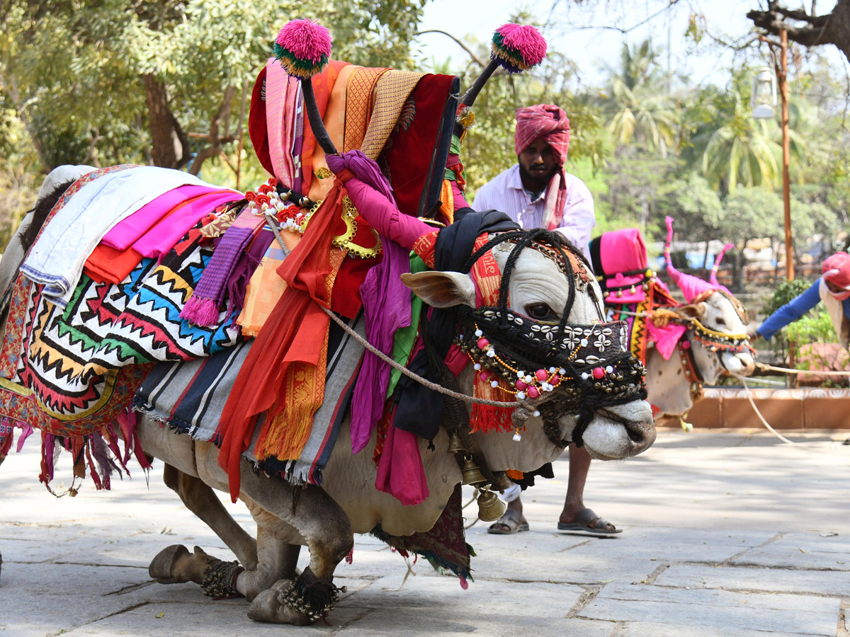 Sankranti Celebrations at Shilparamam Photos11